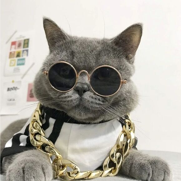 📷🔹️🐈‍⬛Gold Time Chain & Sunglasses Cat/Dog Set - Picture 1 of 9
